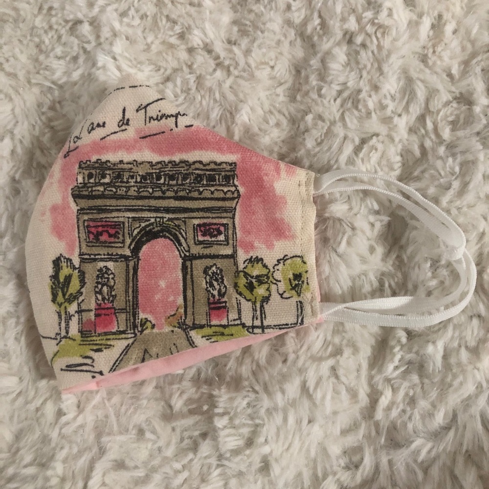 3 triple layer Paris themed Face masks